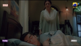 Sunn Mere Dil - Episode 11 - 13th November 2024